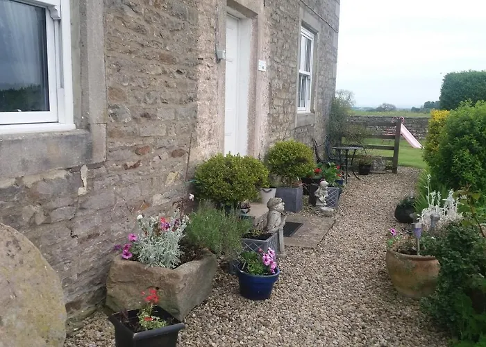Lily Hill Farm
